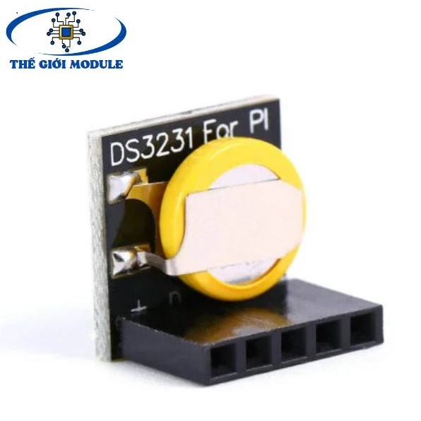 Ds3231 Module Raspi Module thời gian thực RTC DS3231 cho Raspberry Pi | Thế Giới Module