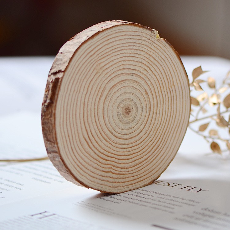 Lát gỗ thông dùng trang trí sản phẩm, decor | Tada Craft
