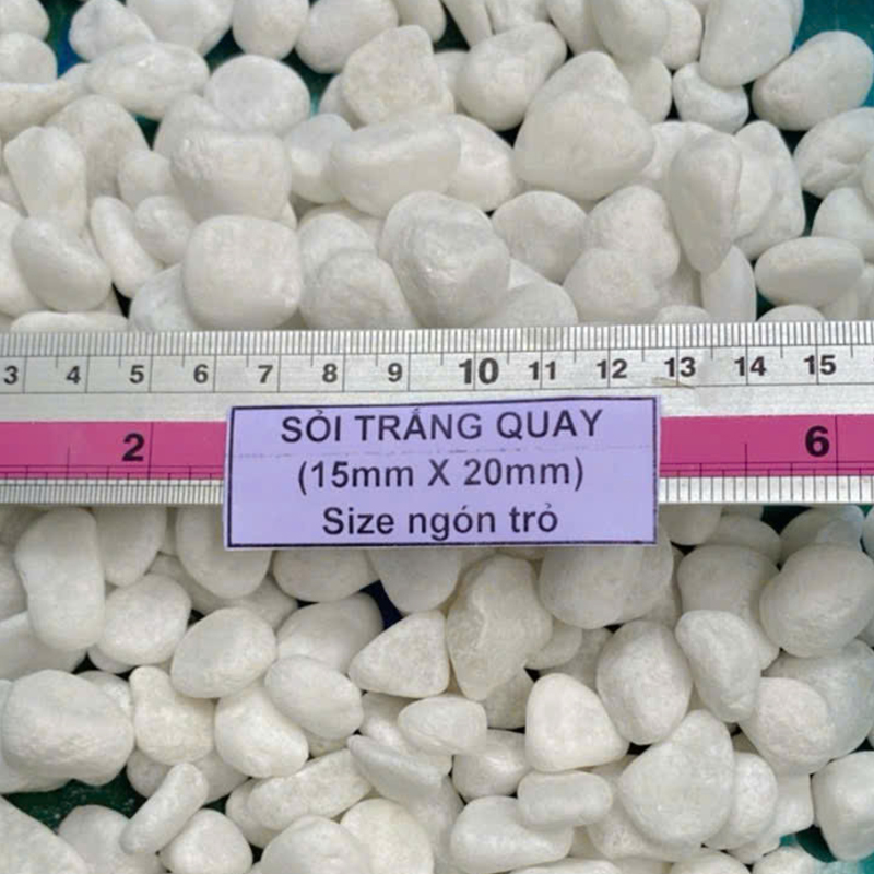 (500g) Đá sỏi trắng trang trí | Tada Craft