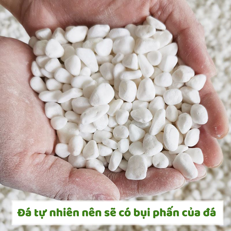 (500g) Đá sỏi trắng trang trí | Tada Craft