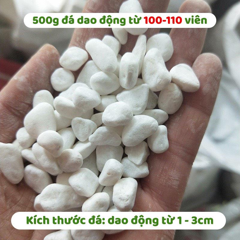 (500g) Đá sỏi trắng trang trí | Tada Craft