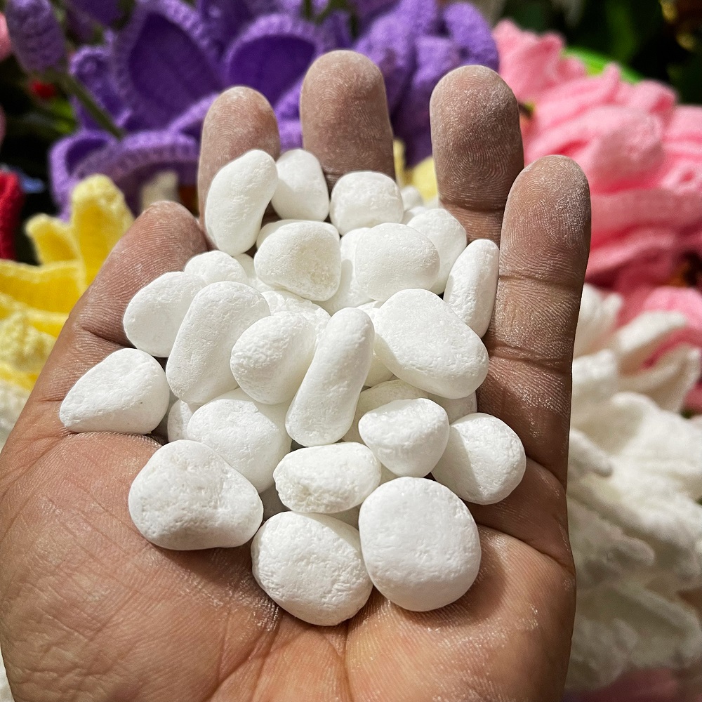 (500g) Đá sỏi trắng trang trí | Tada Craft