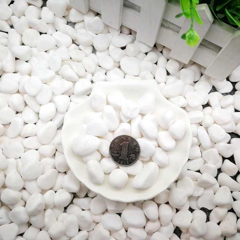 (500g) Đá sỏi trắng trang trí | Tada Craft
