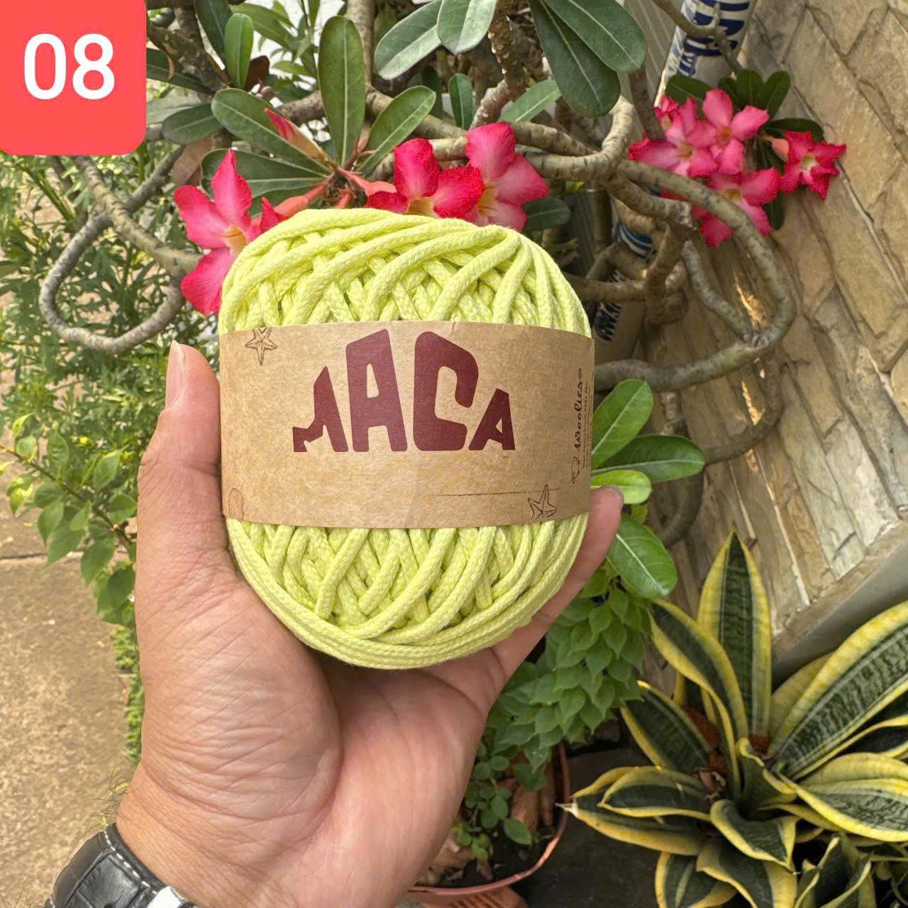 Sợi Maca trơn 3mm Woolies 200g | Tada Craft