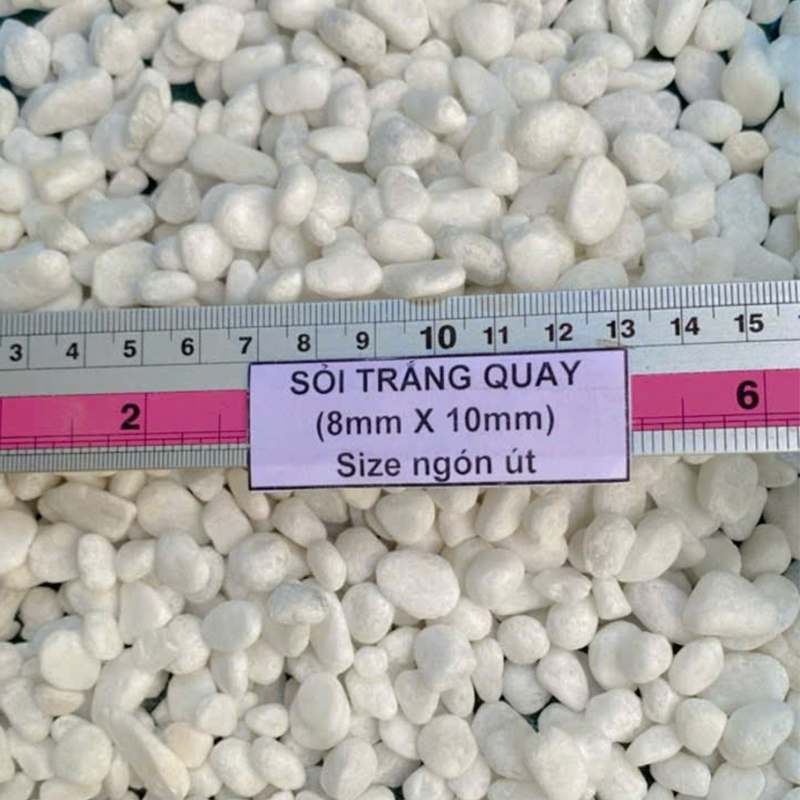 (500g) Đá sỏi trắng trang trí | Tada Craft