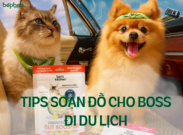 CẨM NANG SOẠN ĐỒ CHO BOSS ĐI DU LỊCH