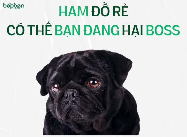 HAM ĐỒ RẺ - CÓ THỂ BẠN ĐANG HẠI BOSS