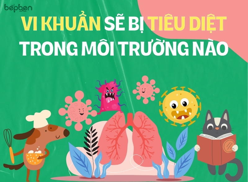 AN TOÀN THỰC PHẨM TRONG CHẾ BIẾN THỨC ĂN CHO THÚ CƯNG