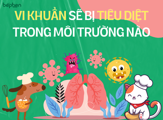 AN TOÀN THỰC PHẨM TRONG CHẾ BIẾN THỨC ĂN CHO THÚ CƯNG