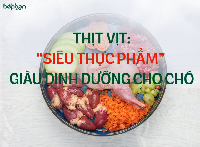 THỊT VỊT – “SIÊU THỰC PHẨM” GIÀU DINH DƯỠNG CHO CHÓ: LỢI ÍCH VÀ CÁCH SỬ DỤNG AN TOÀN