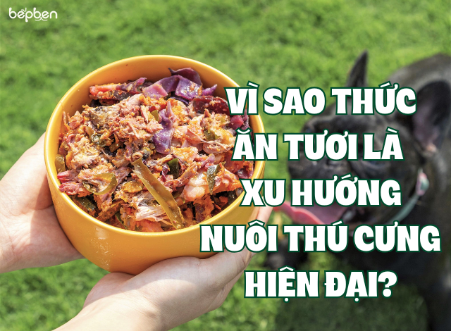VÌ SAO THỨC ĂN TƯƠI LÀ XU HƯỚNG NUÔI THÚ CƯNG HIỆN ĐẠI?