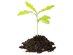 Chế phẩm sinh học