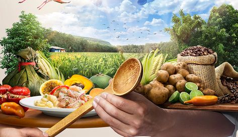 Sản phẩm nông nghiệp hữu cơ