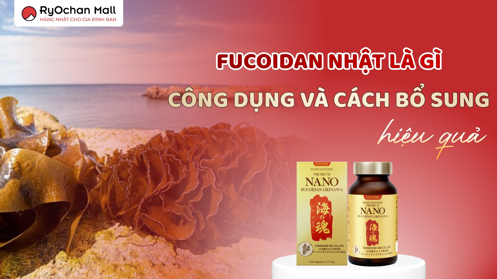 Fucoidan Nhật Là Gì? Công Dụng Và Cách Bổ Sung Hiệu Quả