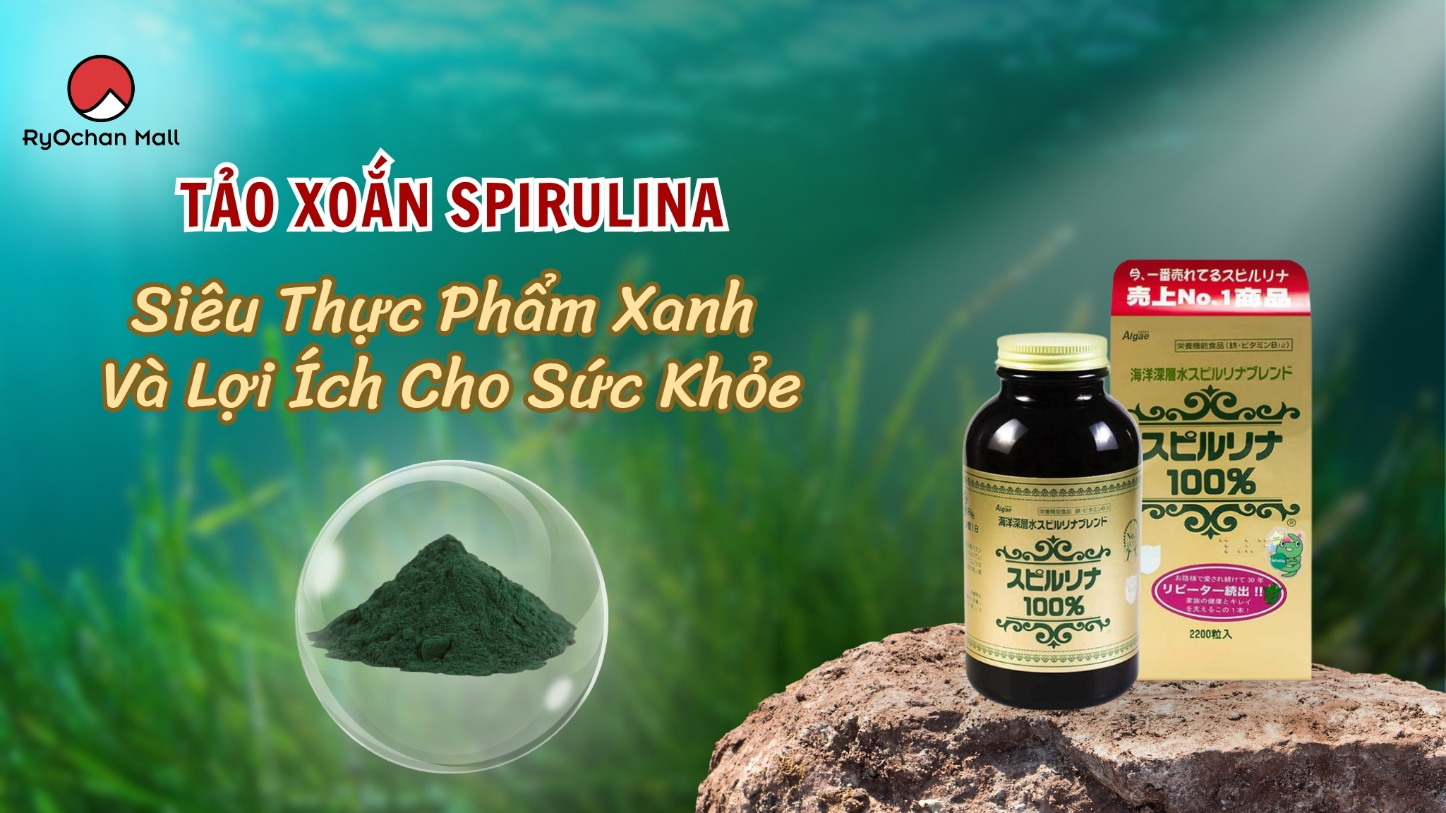 Tảo Xoắn Spirulina: Siêu Thực Phẩm Xanh Và Lợi Ích Cho Sức Khỏe