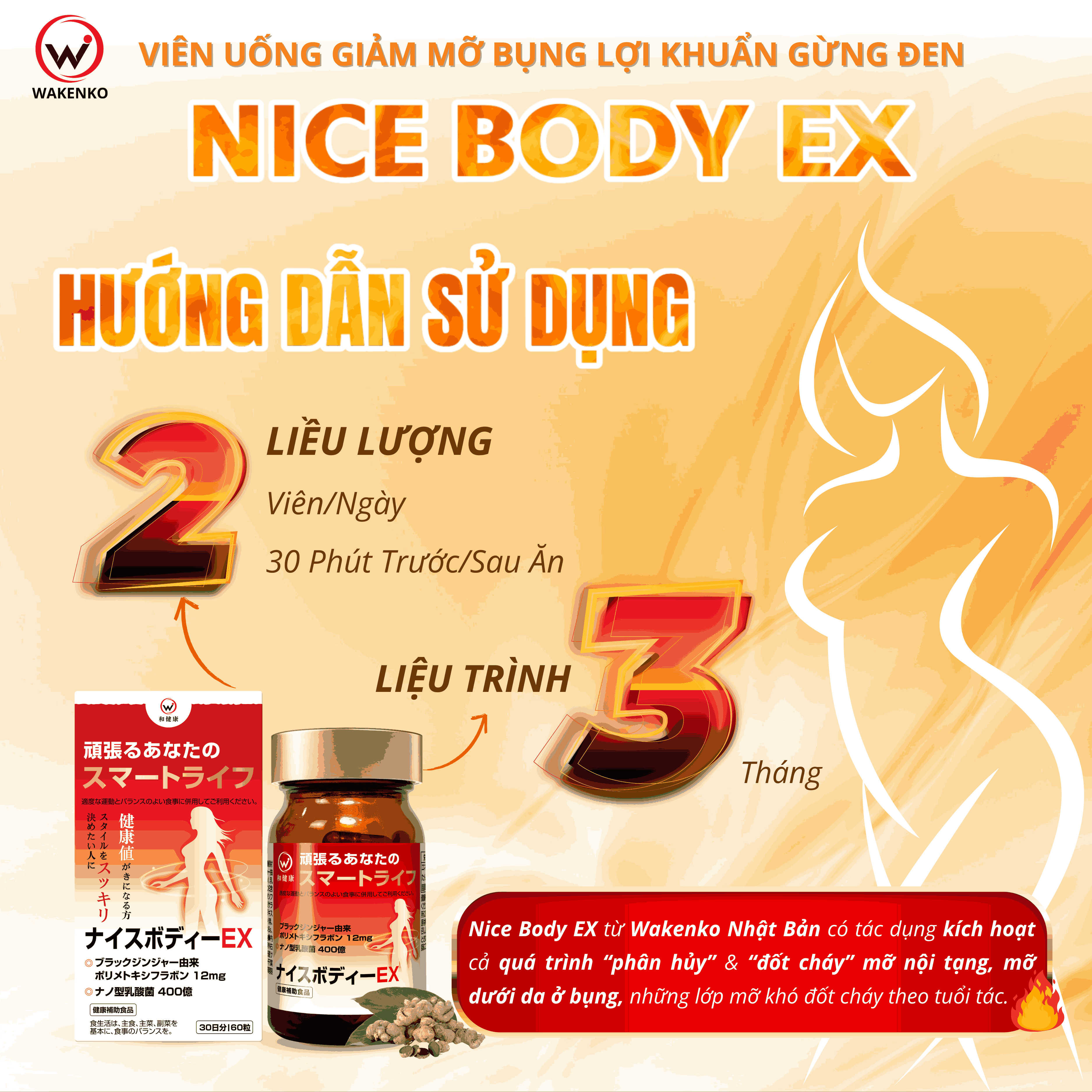 Hướng Dẫn Sử Dụng Viên Uống Giảm Mỡ Bụng Lợi Khuẩn Vừng Đen Nice Body Wakenko