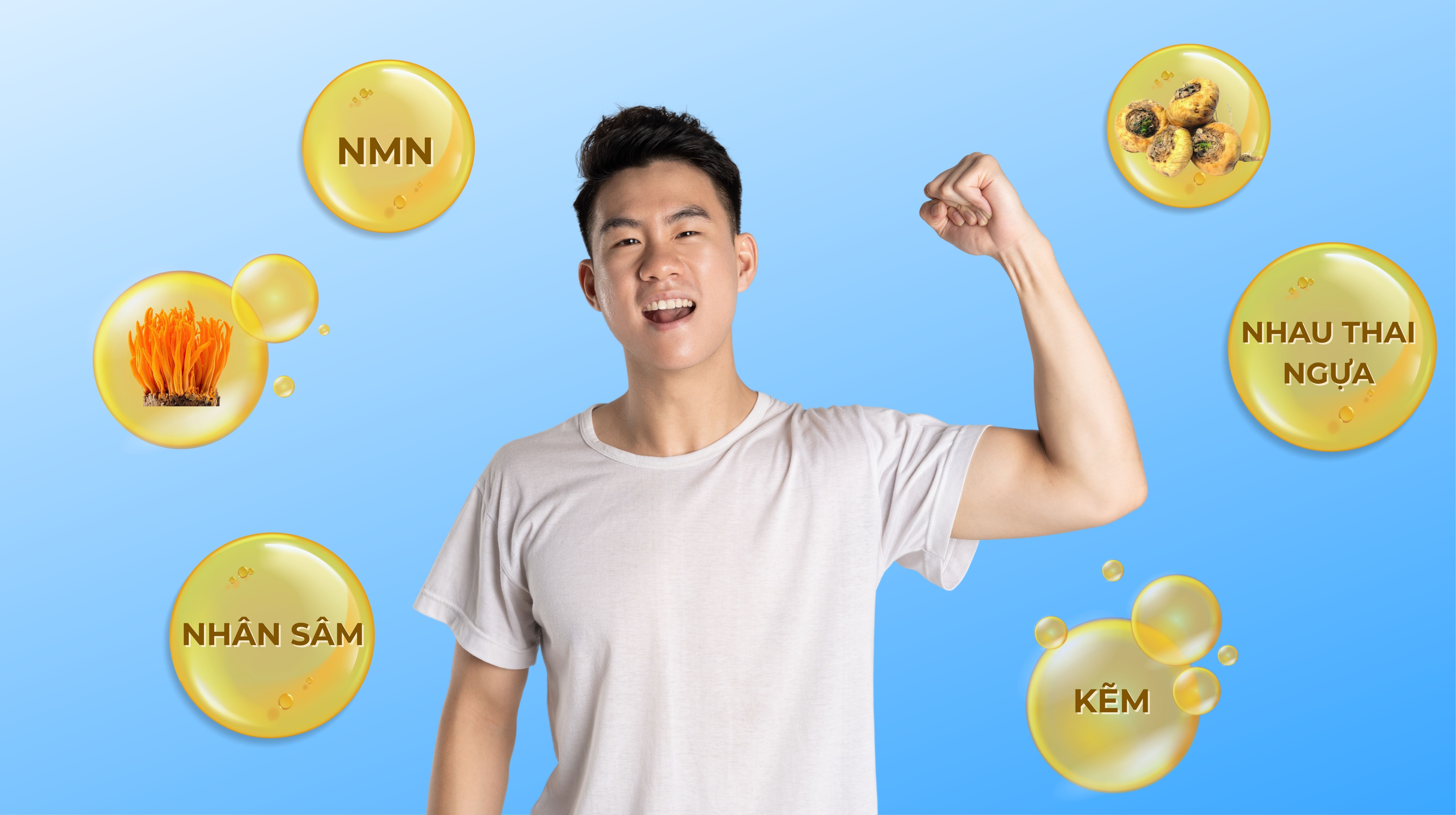 Các thành phần chính trong thực phẩm chức năng sinh lý nam giới Nhật Bản