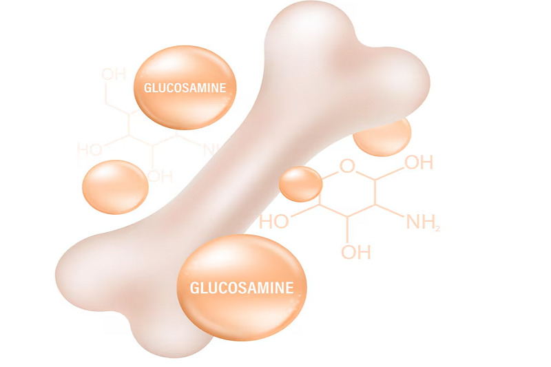 Công dụng của Glucosamine đối với sức khỏe