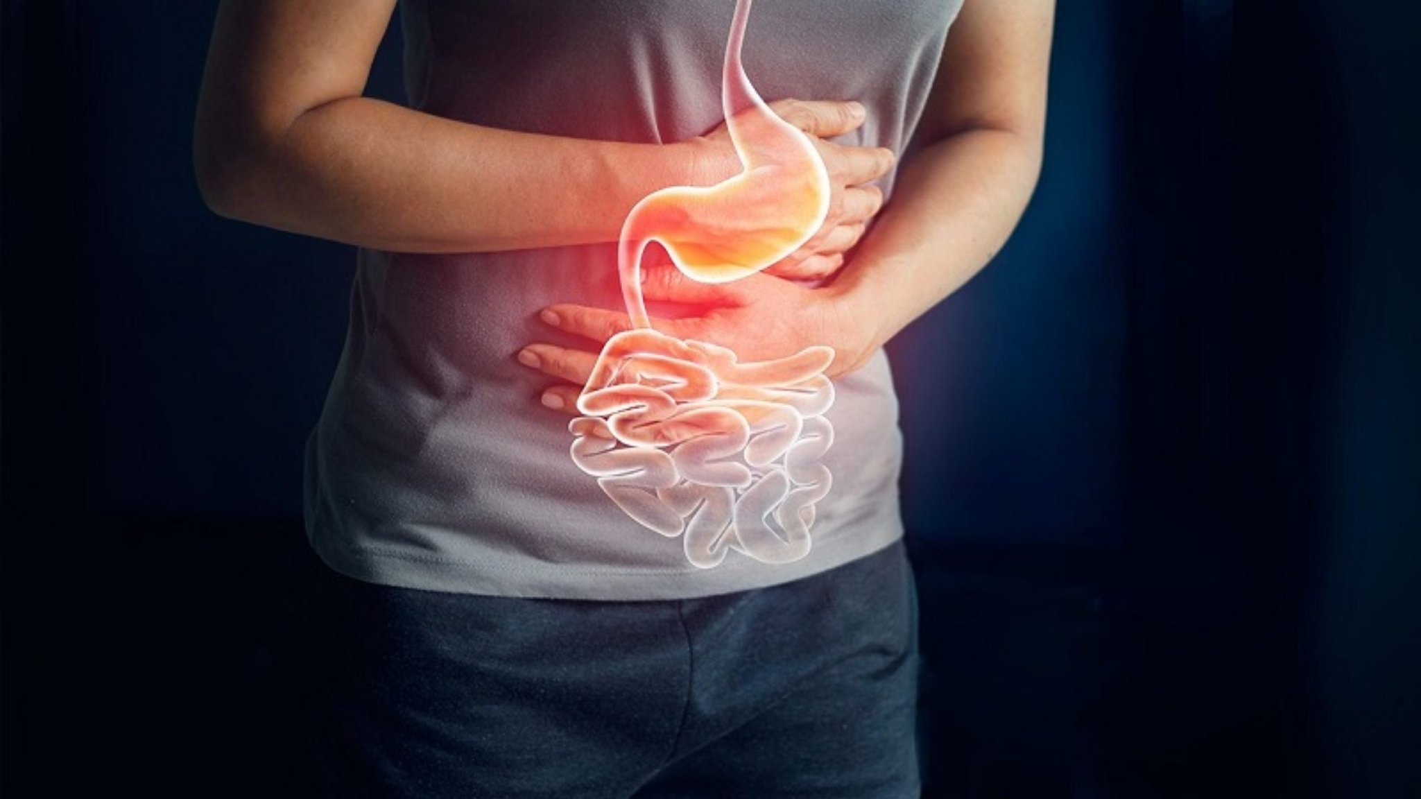 Curcumin và vai trò đối với hệ tiêu hóa