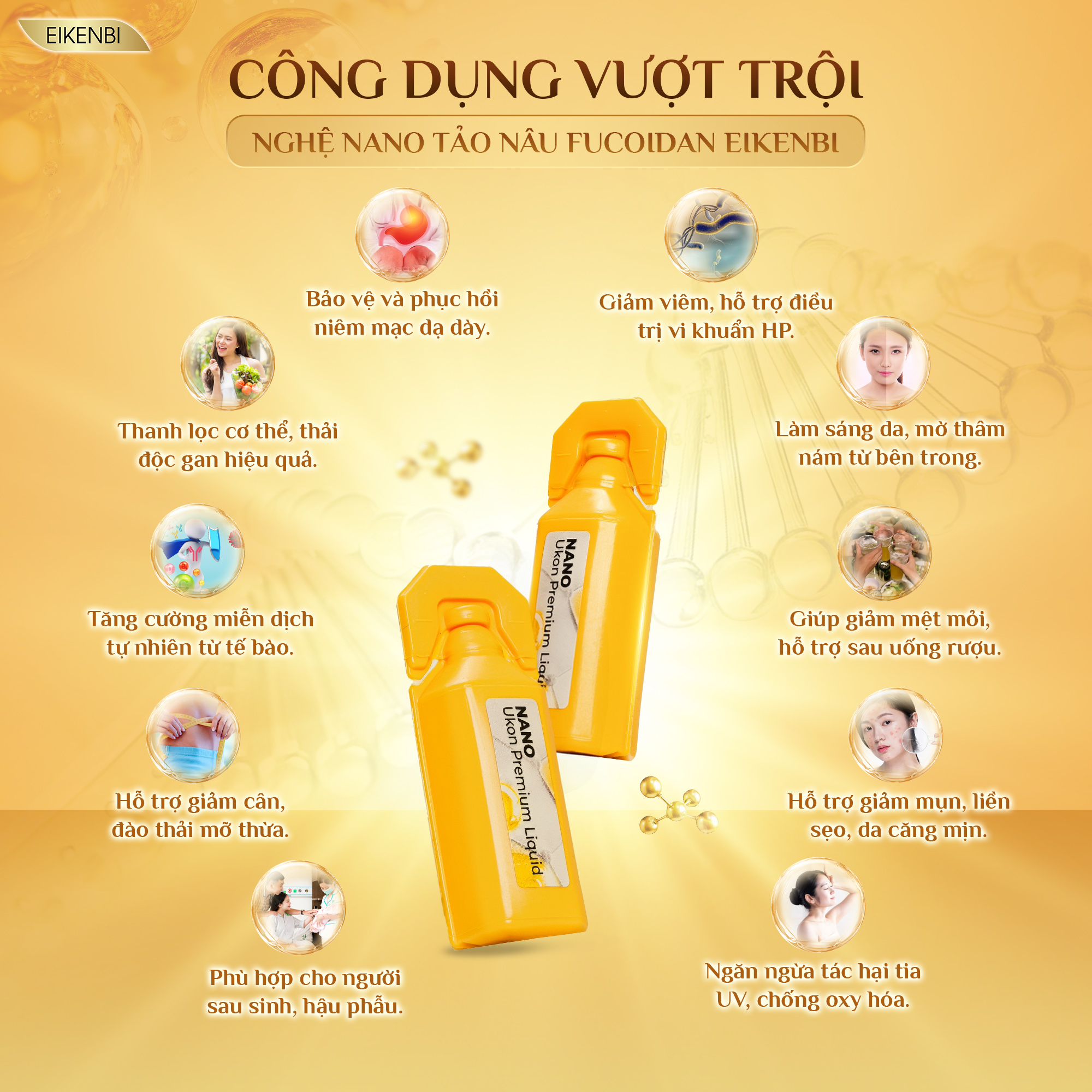 Công Dụng Của Nghệ Nano Tảo Nâu Fucoidan Eikenbi
