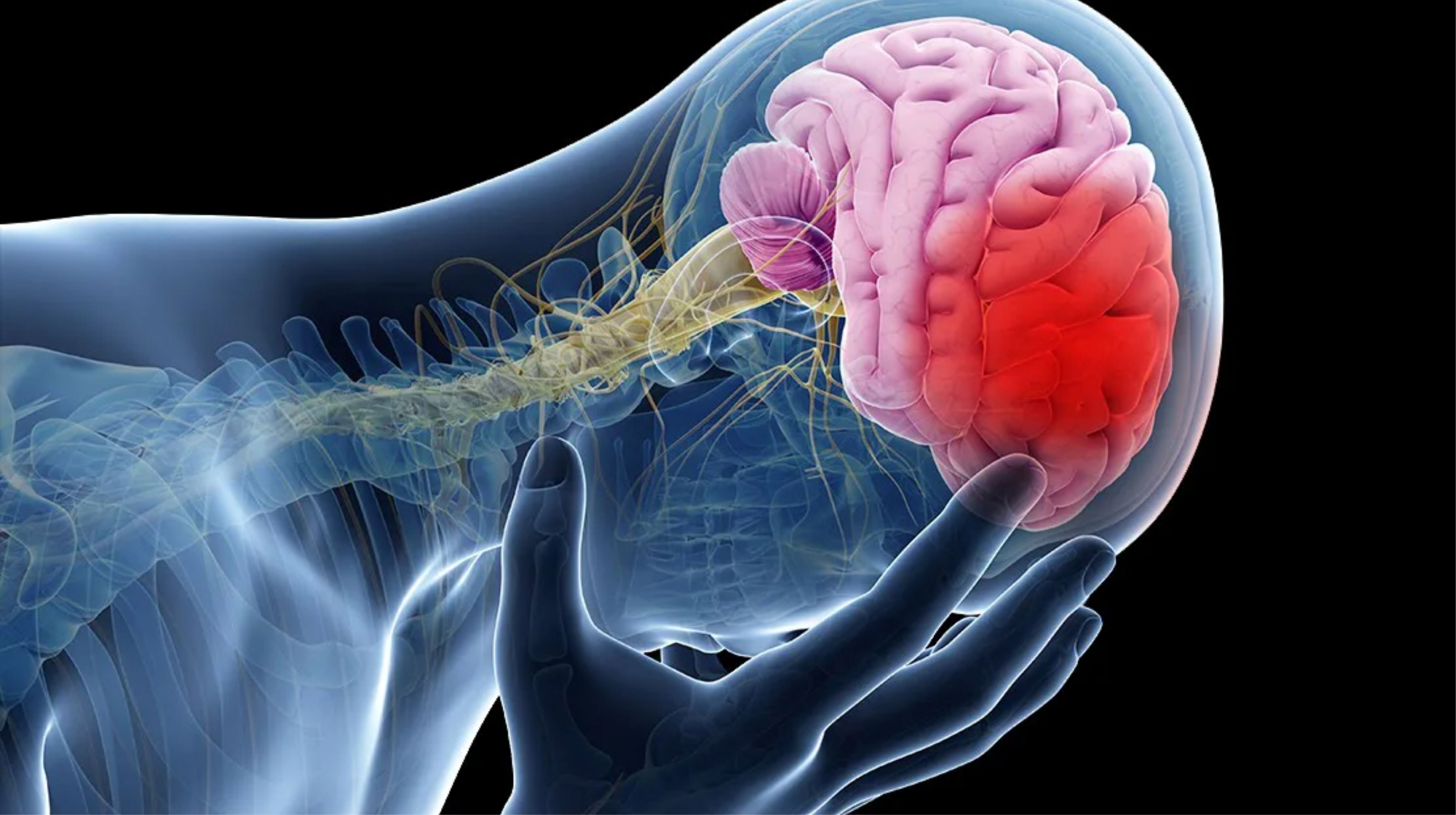 Đột quỵ là gì? Tìm hiểu thực trạng đột quỵ tại Việt Nam hiện nay
