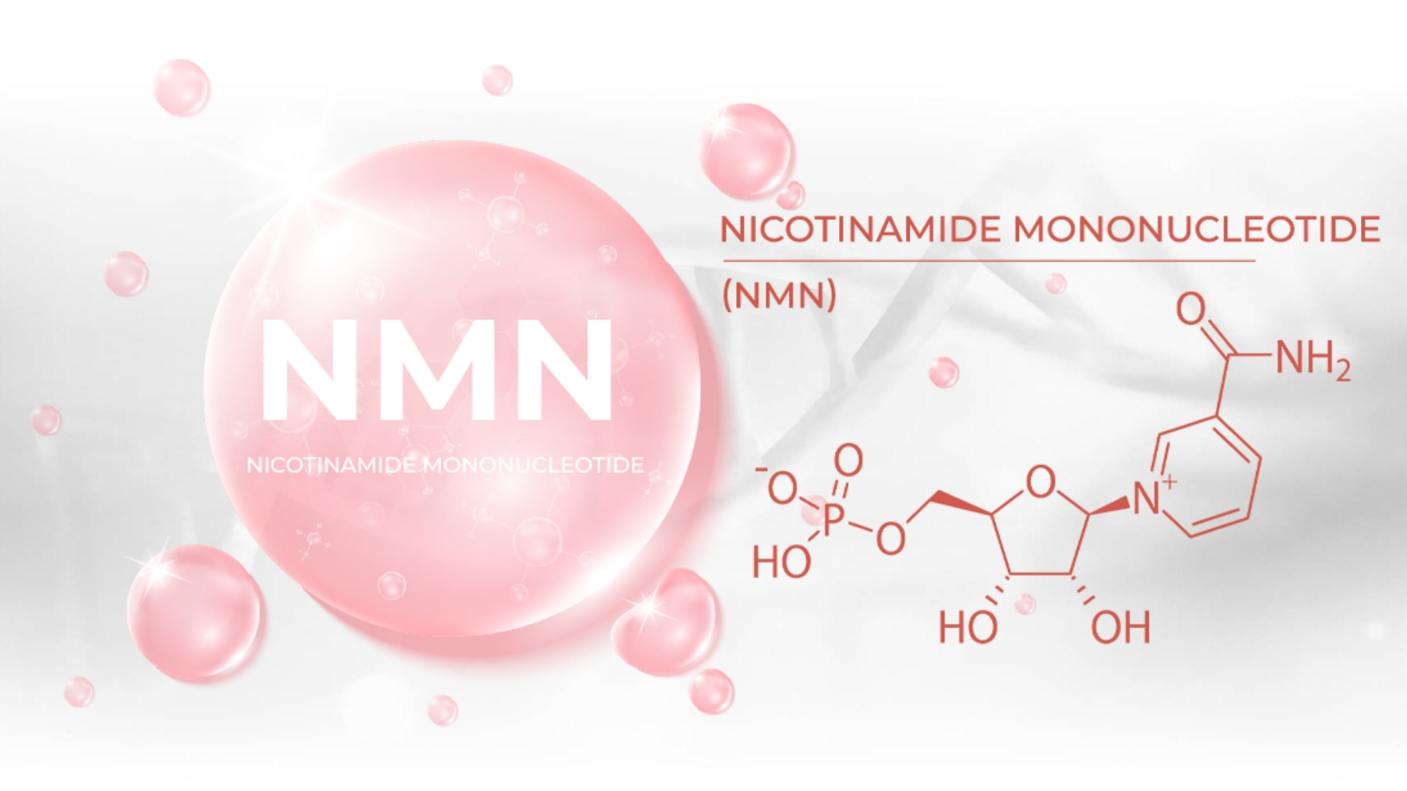 Một số câu hỏi thường gặp về NMN