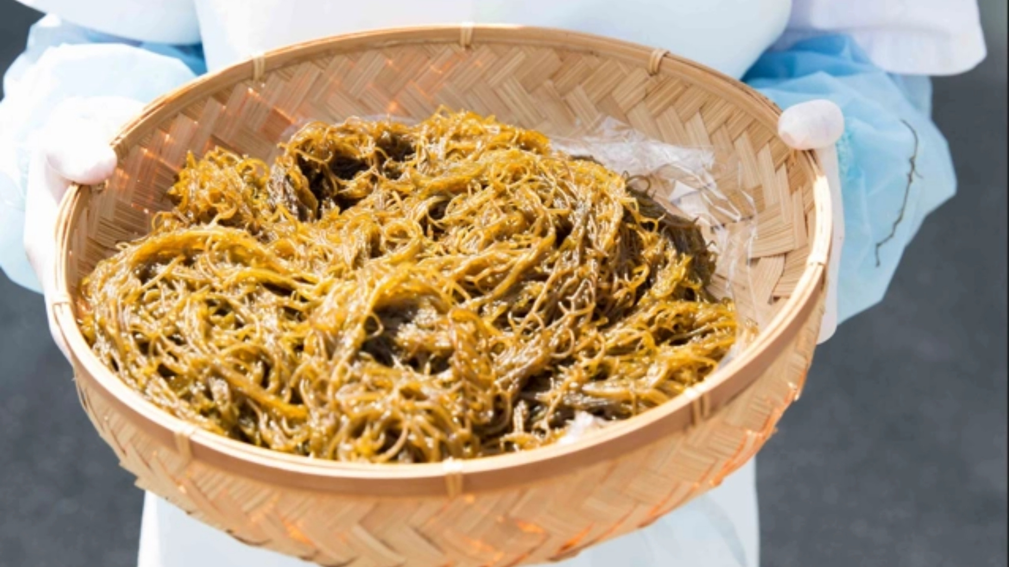 Fucoidan là gì? Vì sao được nhiều người quan tâm?
