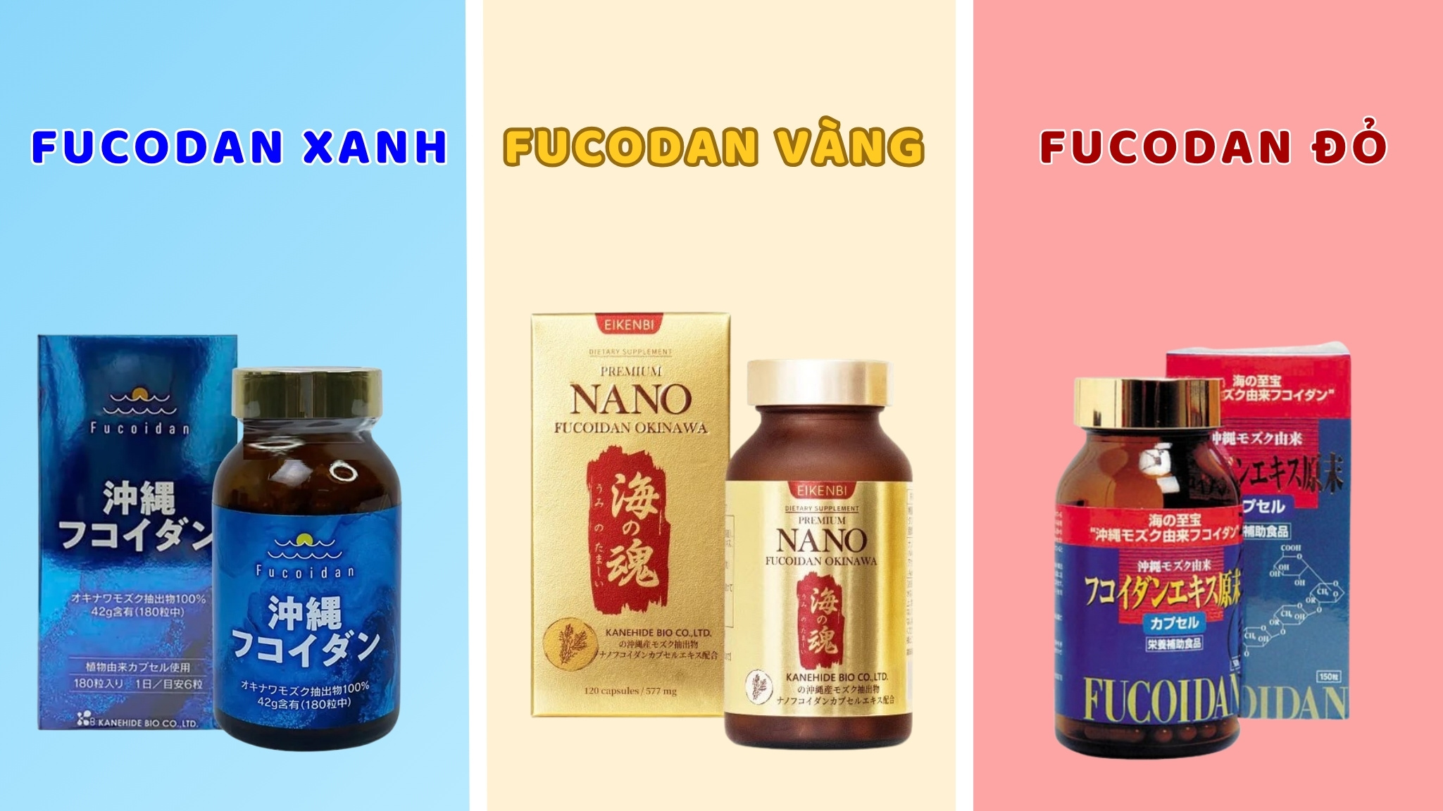 Fucoidan xanh, vàng, đỏ khác nhau như thế nào?