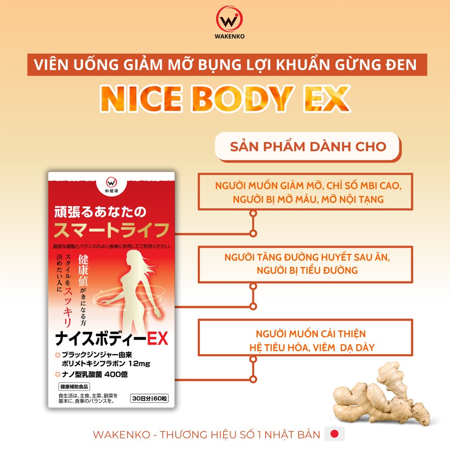 Viên Uống Giảm Mỡ Bụng Lợi Khuẩn Gừng Đen Nice Body Wakenko [60 Viên]
