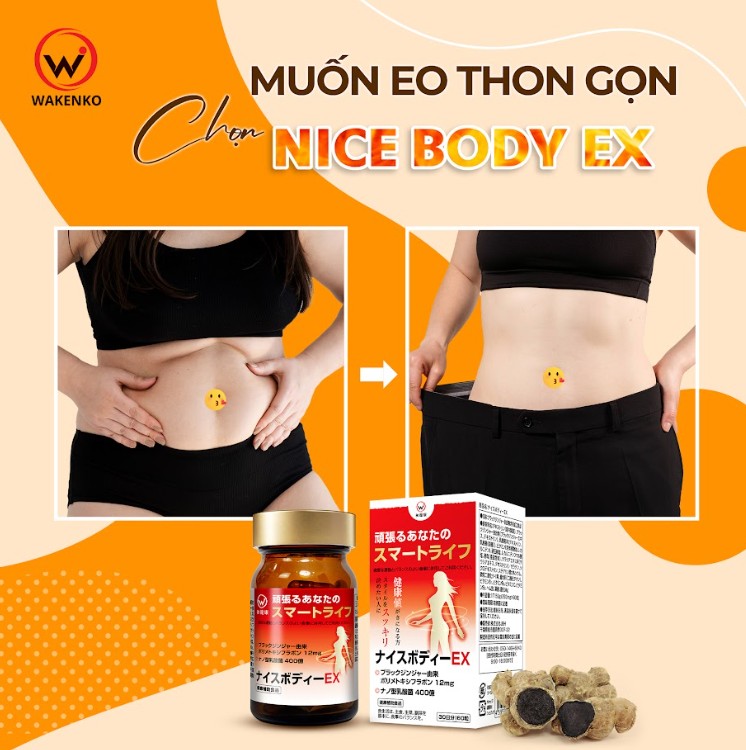 Ưu Điểm Của Viên Uống Giảm Mỡ Bụng Lợi Khuẩn Gừng Đen Nice Body Wakenko
