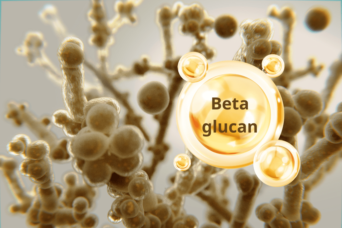 Beta-glucan giúp tăng cường khả năng phòng vệ tự nhiên của cơ thể