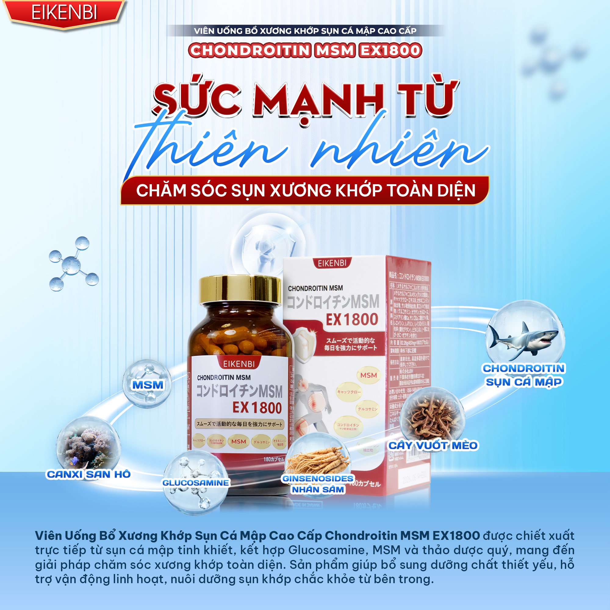 Viên Uống Bổ Xương Khớp Chondroitin MSM EX1800 Eikenbi