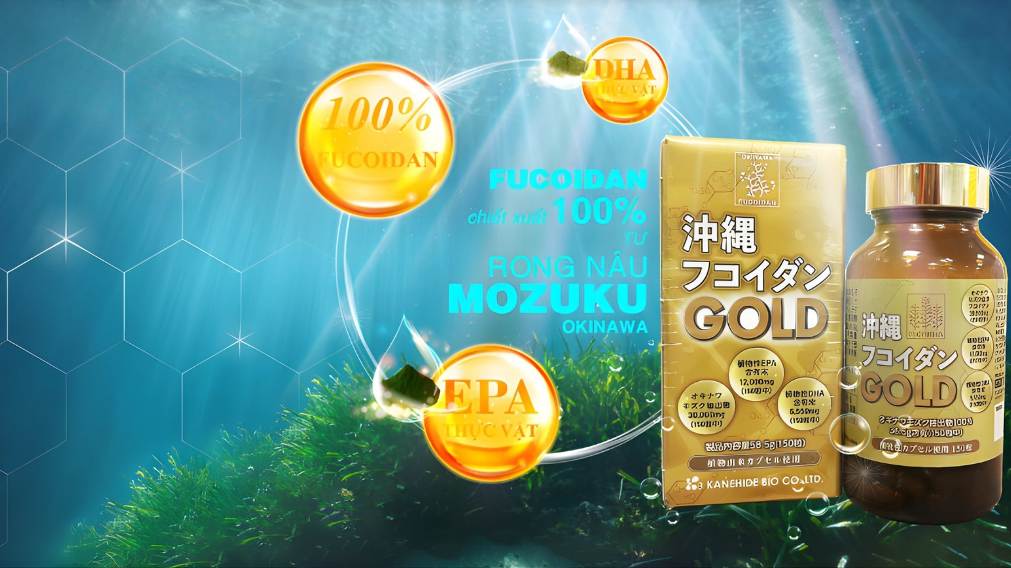 Viên uống Fucoidan tảo Okinawa Gold