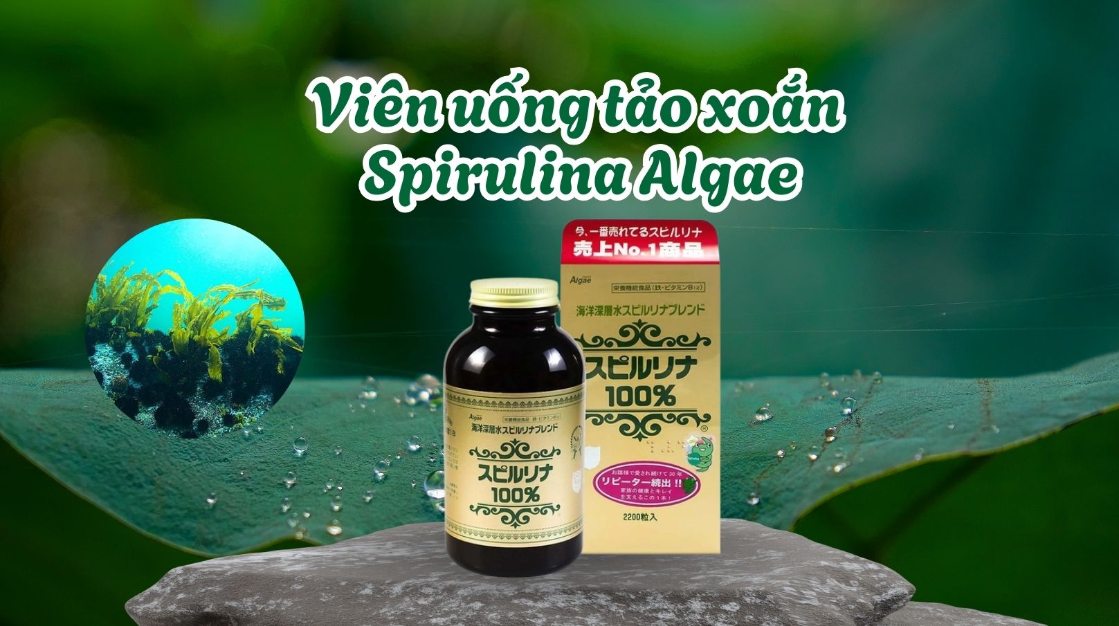 Viên uống tảo xoắn Spirulina Algae