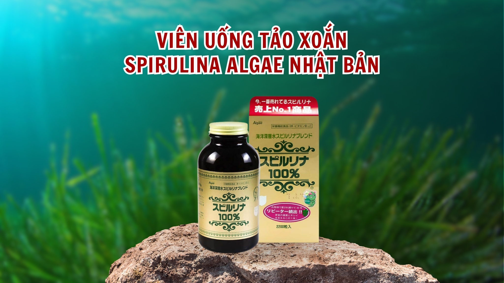 Viên uống tảo xoắn Spirulina Algae Nhật Bản