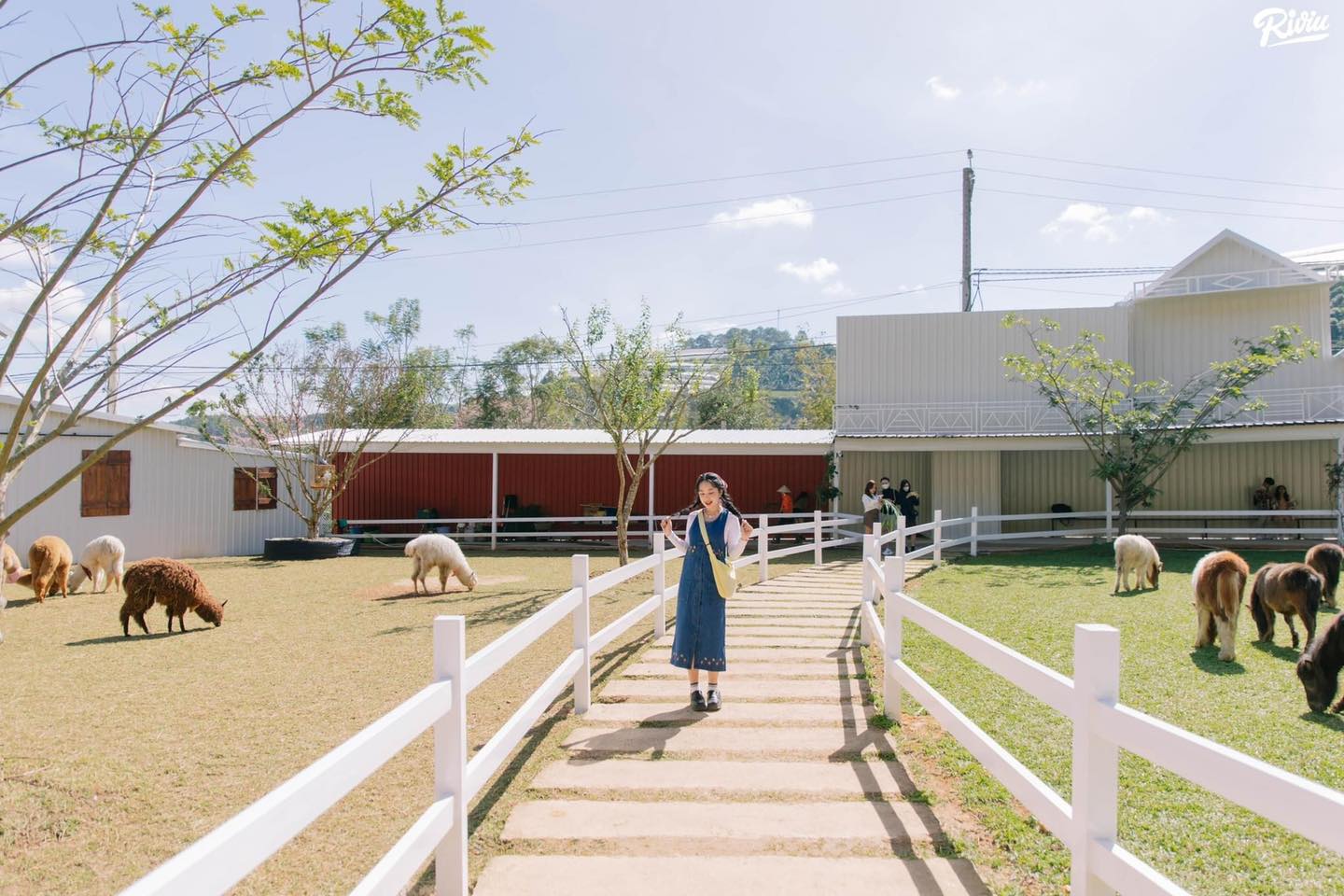 MỘT SỐ LƯU Ý CHO DU KHÁCH KHI ĐI DU LỊCH TẠI ĐÀ LẠT - LÂM ĐỒNG