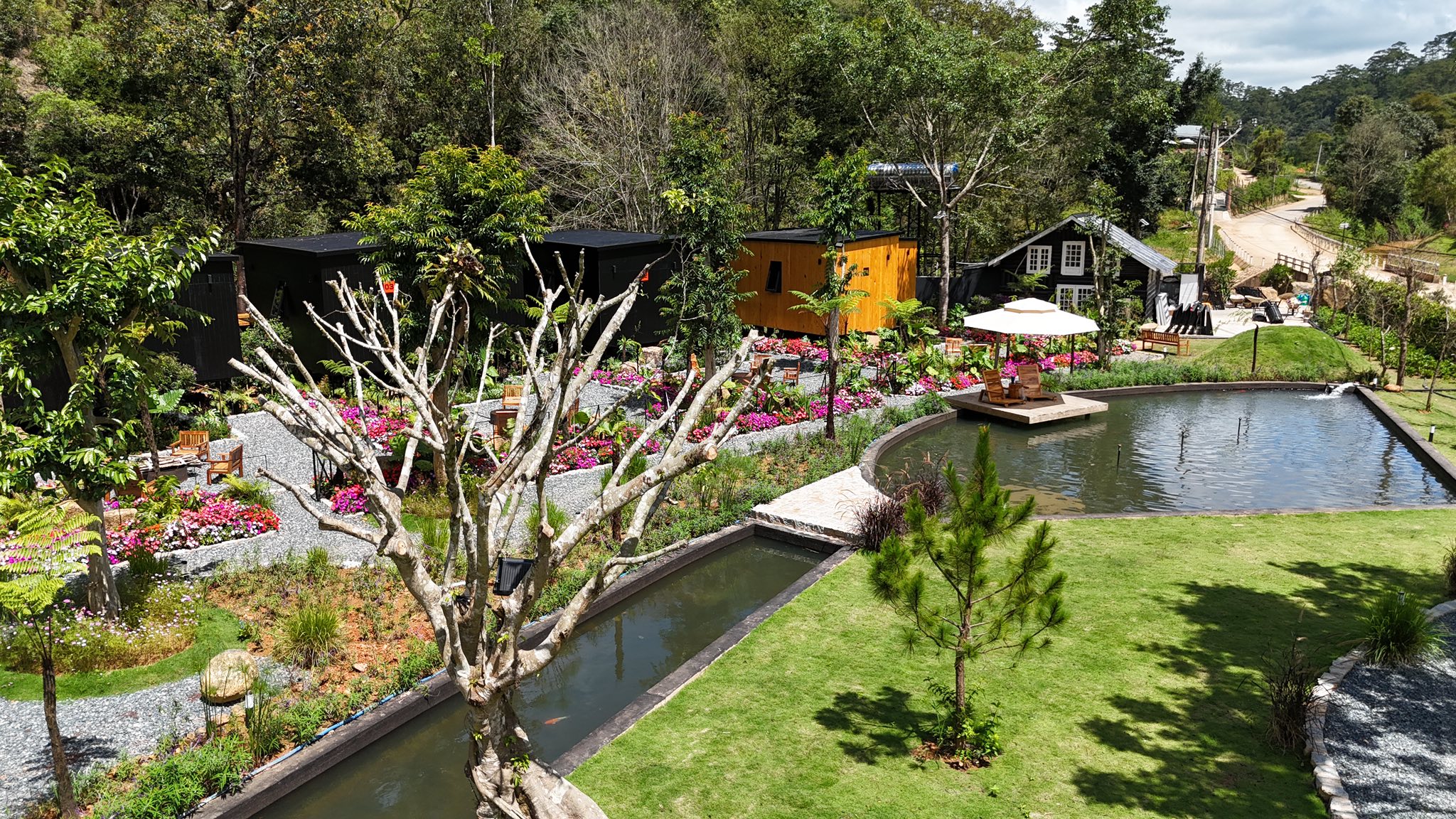 KIWUKI ĐÀ LẠT RESORT & COFFEE –  YÊN BÌNH GIỮA RỪNG THÔNG