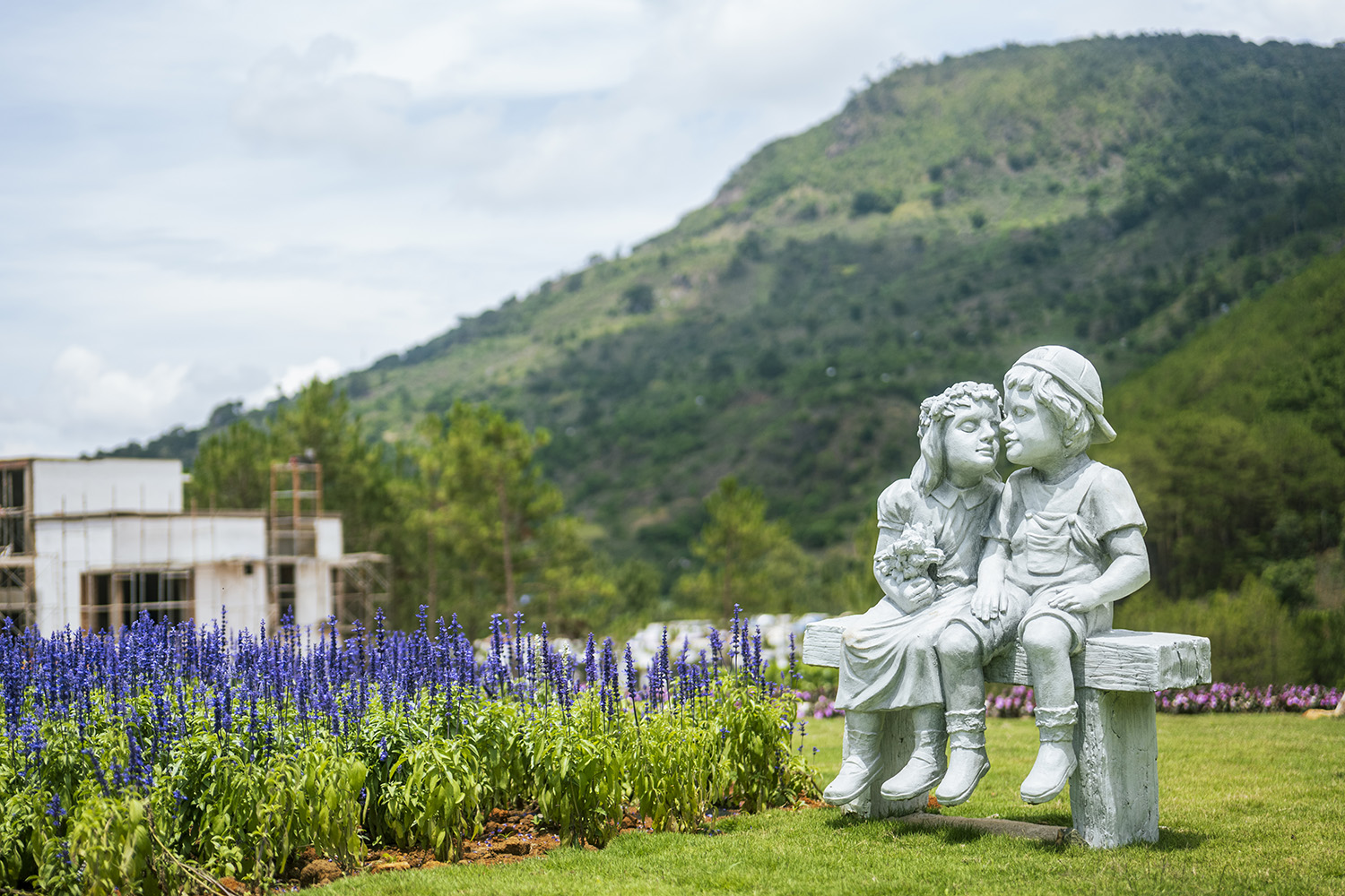 KHU DU LỊCH RỪNG THÔNG NÚI VOI