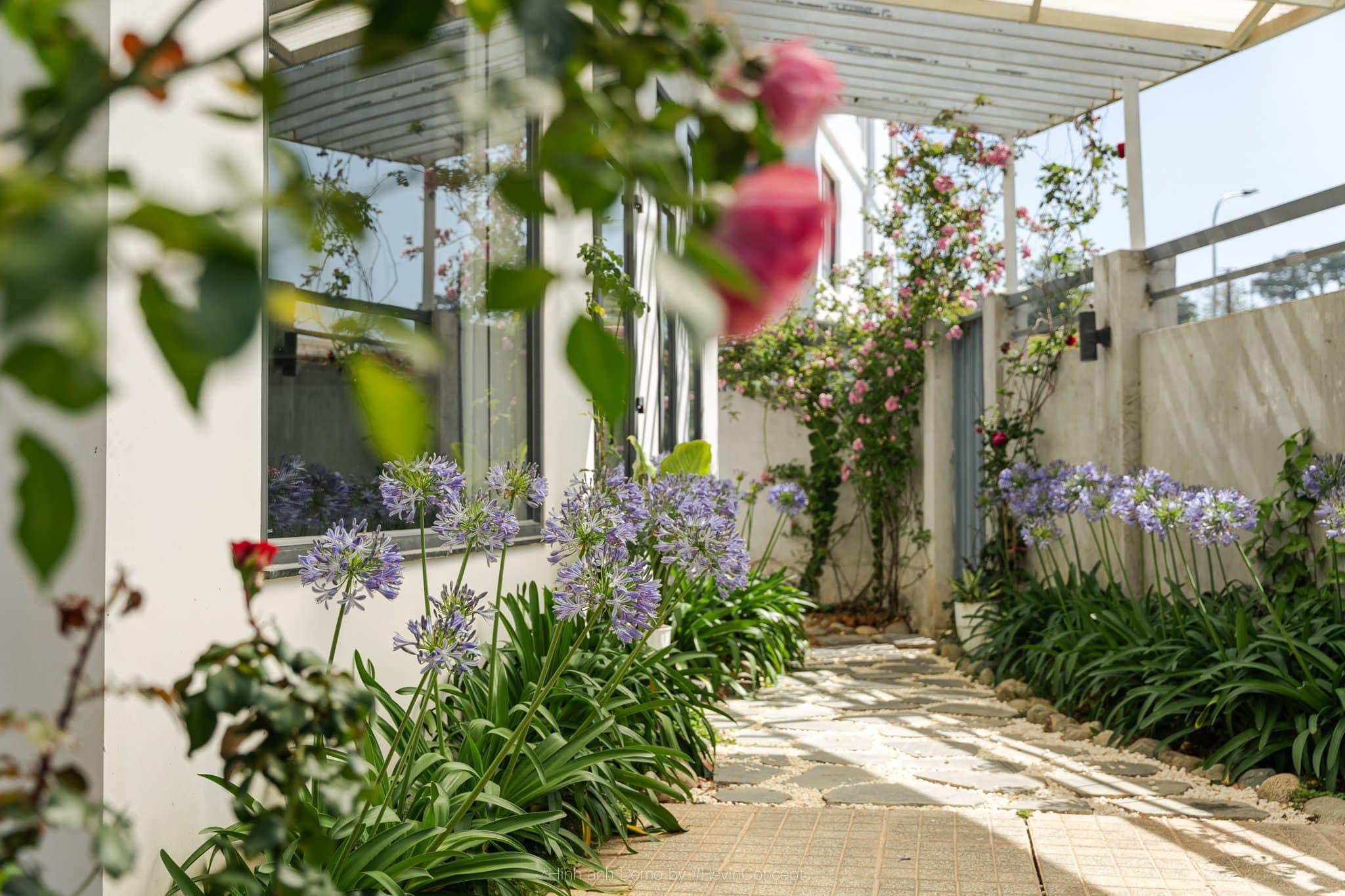 VILLA AN SƠN