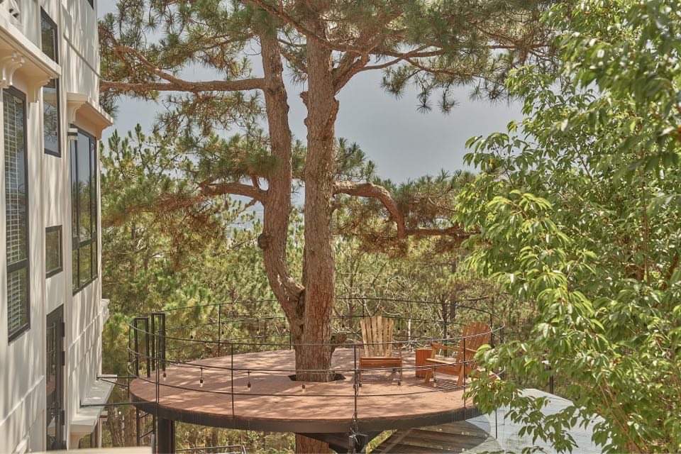 CAMELIA VILLA DALAT