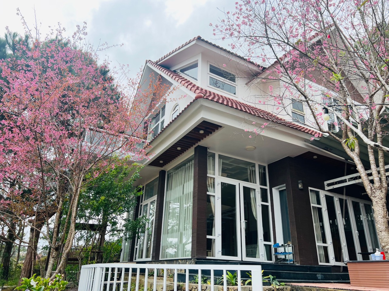 NAM HỒ 2.8