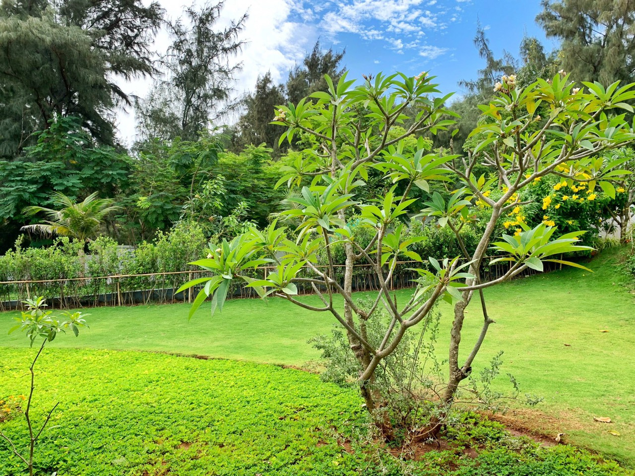 VILLA 4 PHÒNG - VŨNG TÀU