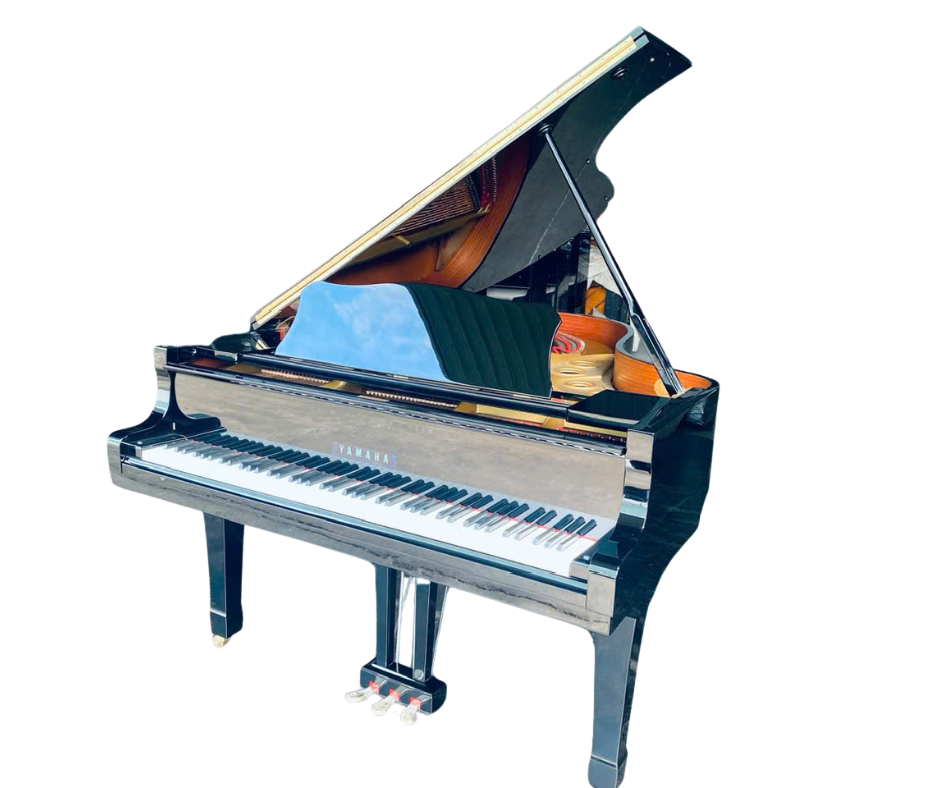 YAMAHA C5B