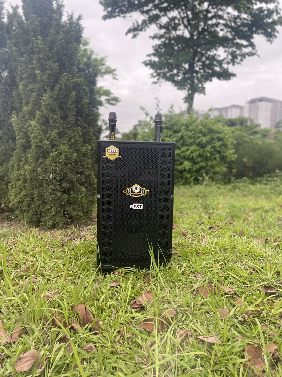 LOA KÉO BEST B40