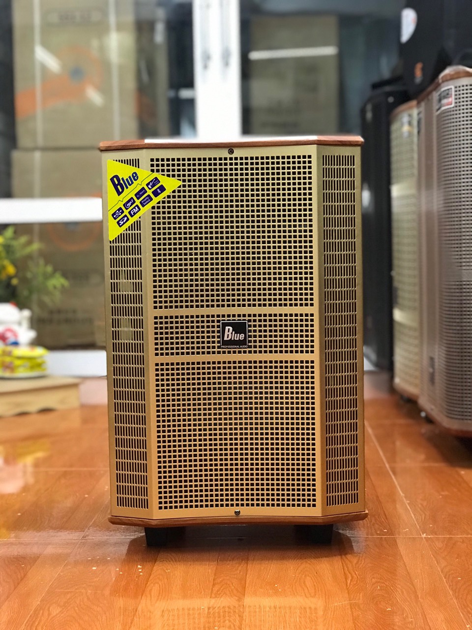 LOA KÉO BLUE B12