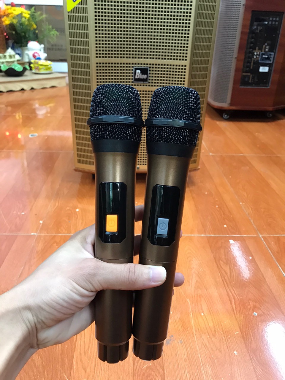 LOA KÉO BLUE B12