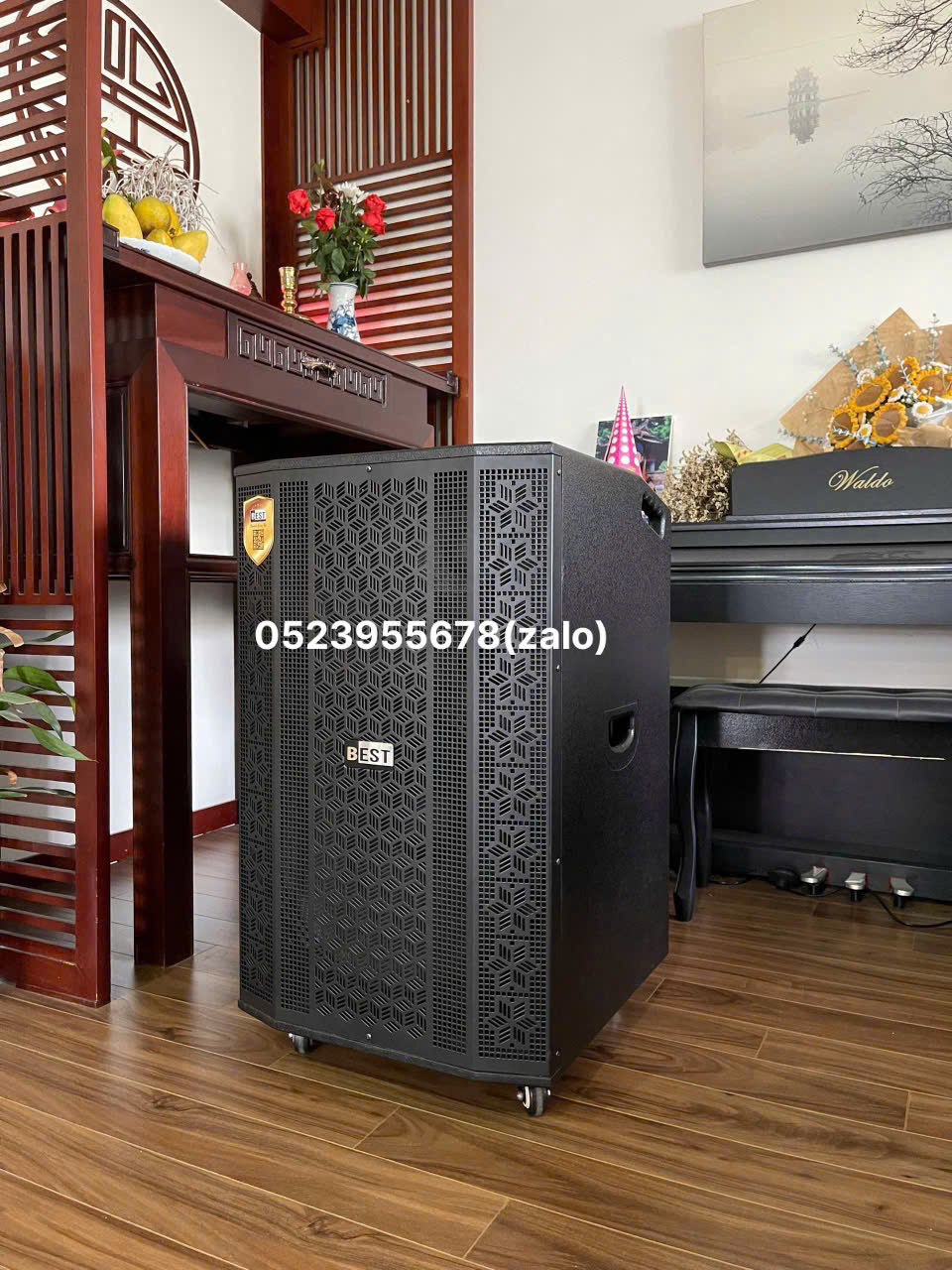 LOA KÉO BEST B50 ( BASS 50 )