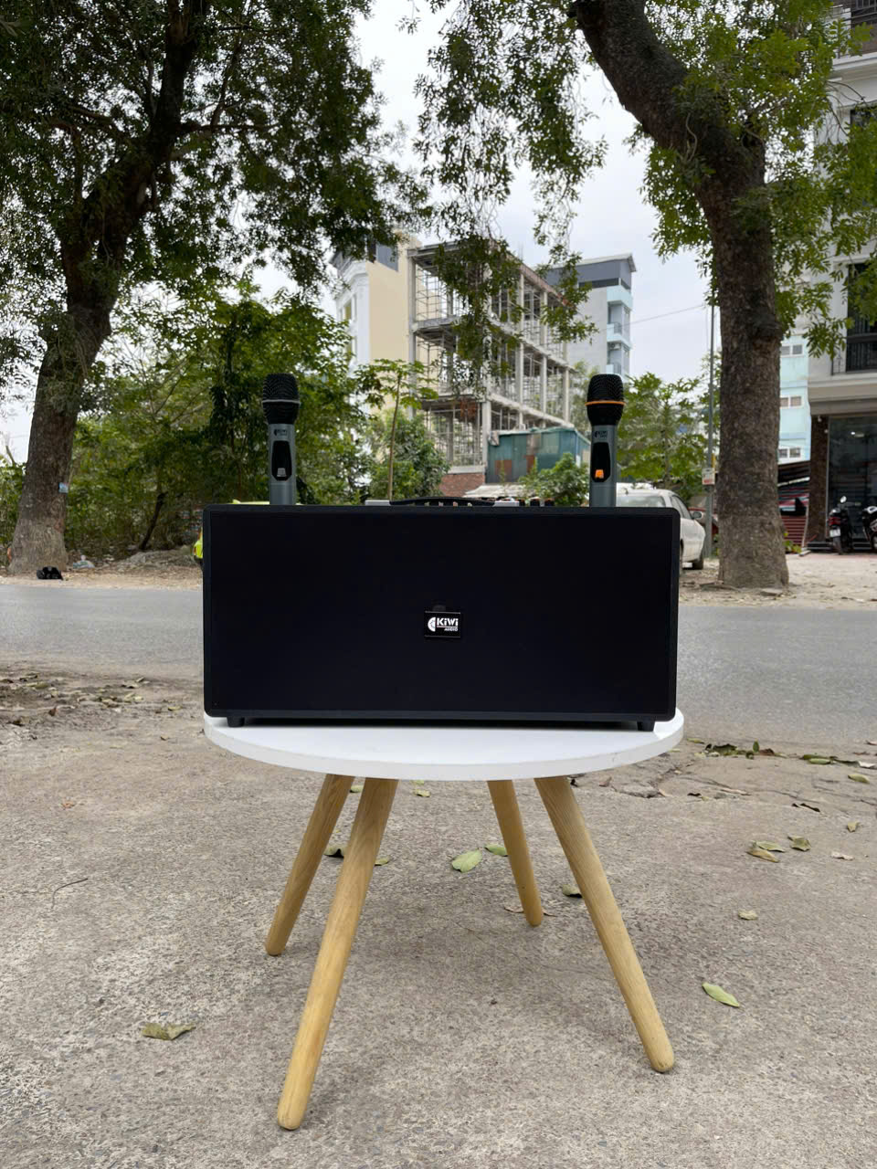 Loa di động KIWI XT220