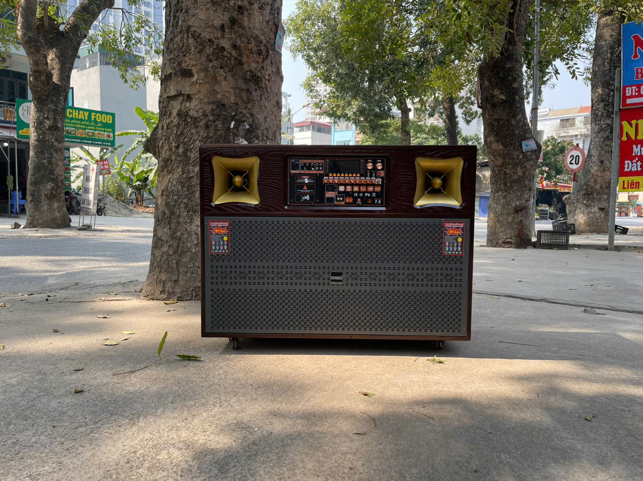 LOA KÉO SB 9630 ( 2 BASS 40 )