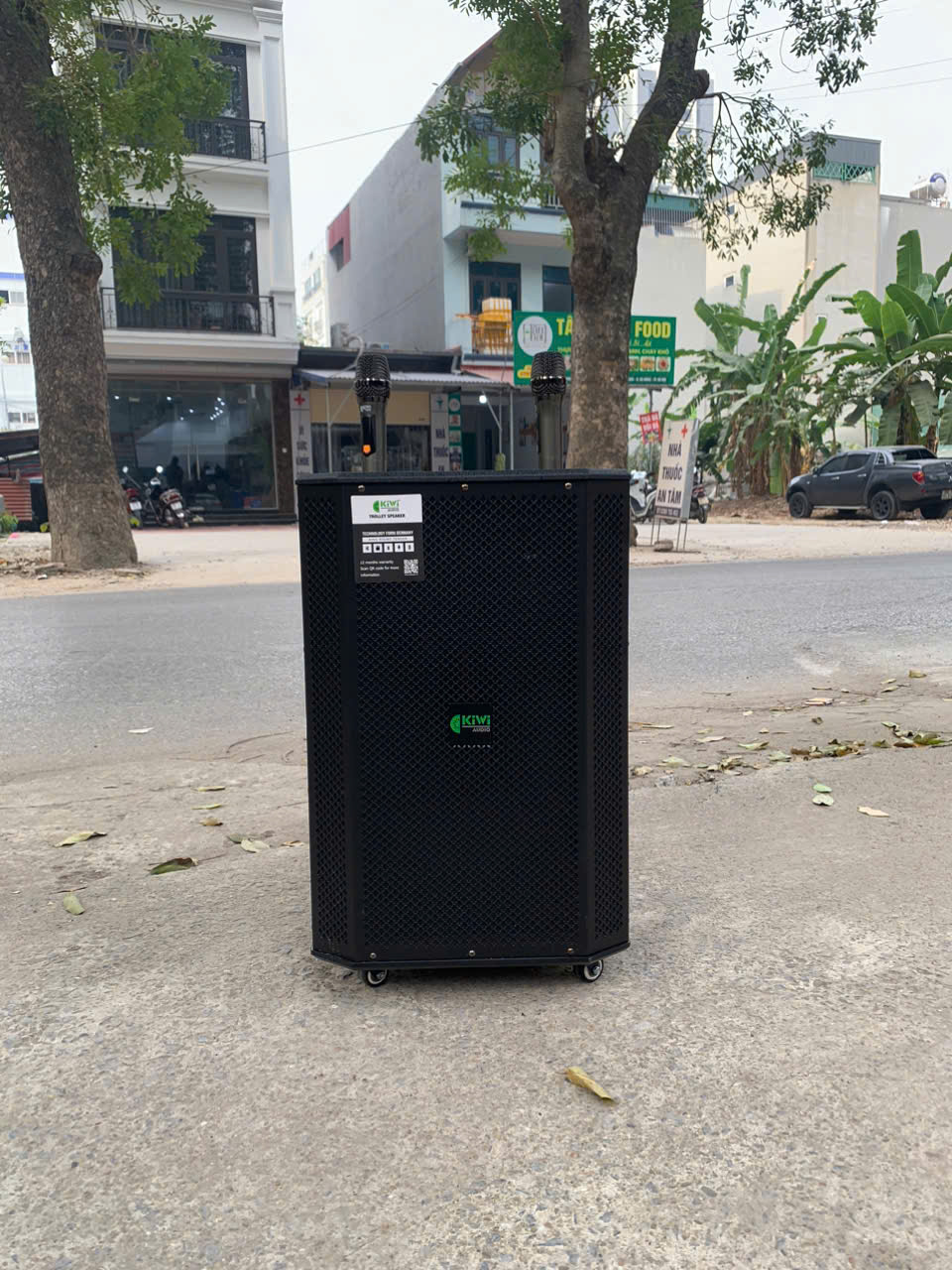 LOA DI ĐỘNG KIWI K6012 ( BASS 30 )